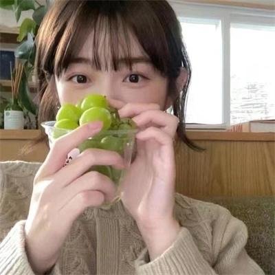 灰鸽子之歌
